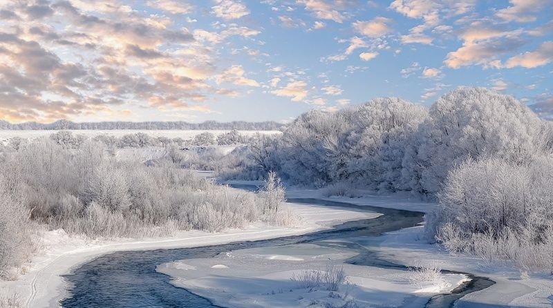 река кшень, зима, ливны, иней, Иней фото превью