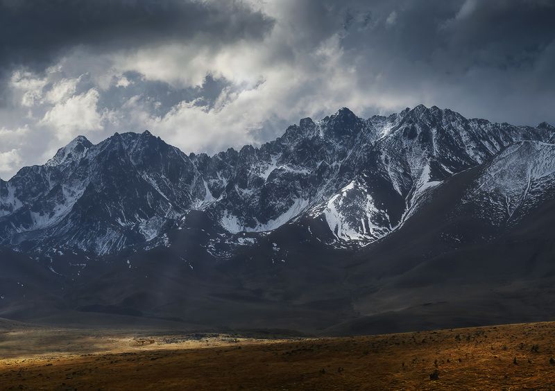 Чёрный хребет фото превью