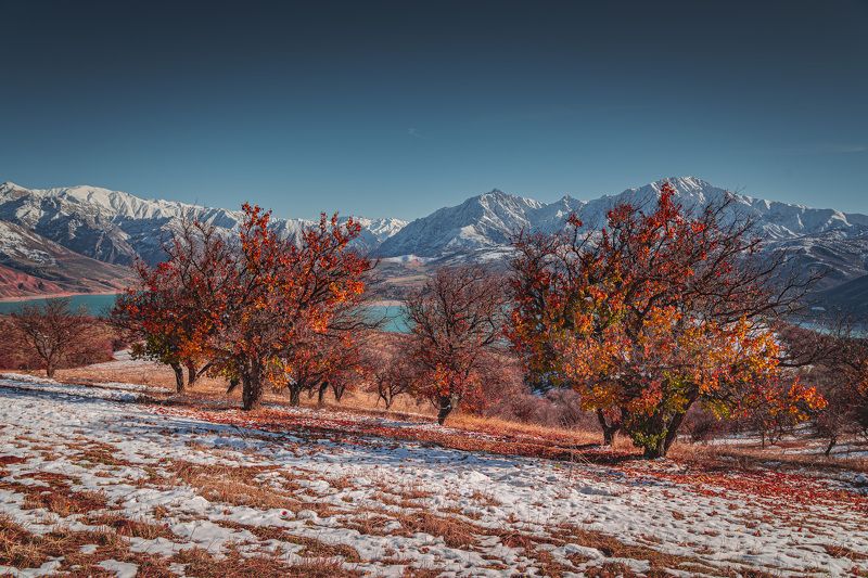 узбекистан, чарвакское водохранилище photo preview