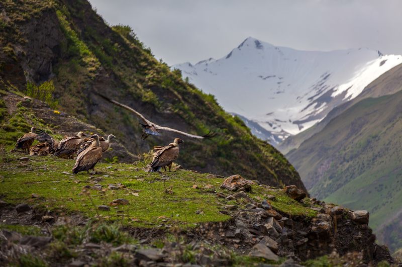 В гостях у сказкиphoto preview