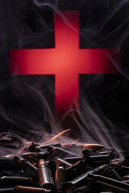 Soldier of fortunephoto preview