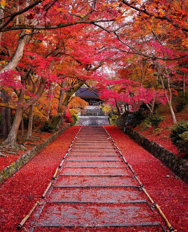 #kyoto #japan #autumn #temple [ Bishamondo Temple ]photo preview