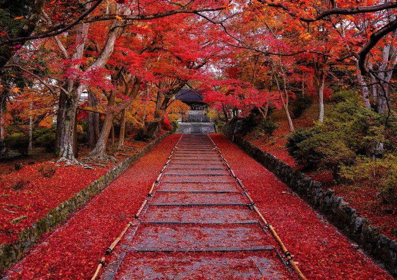 #kyoto #japan #autumn #temple [ Bishamondo Temple ]photo preview