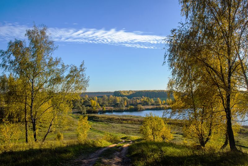 nevant60, пейзаж, красота, природа Осеньphoto preview