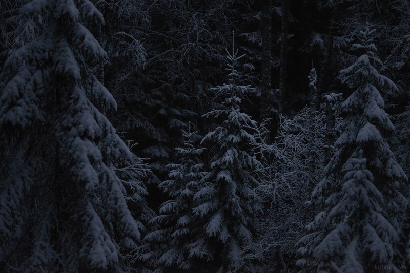 Начало зимы на Смородинкеphoto preview