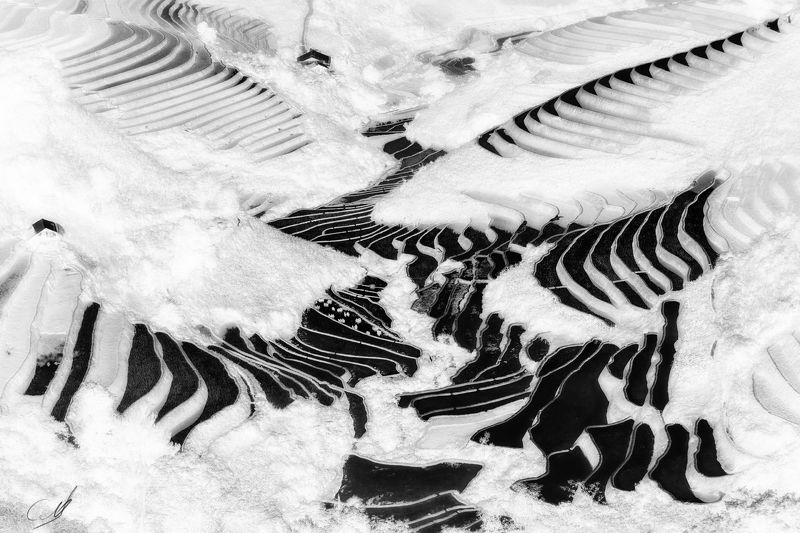 Rice&Icon of Vietnamphoto preview