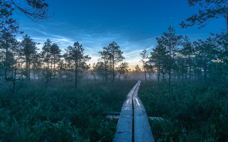 #noctilucentclouds, #nightclouds, #clouds, #cloudscape, #cloudstagram, #nightphotography, #night, #sunsetclouds, #nature_of_estonia, #ilusadeestipaigad, #reflection, #reflecting_perfection, #reflectiongram, #naturephotography, #cloudformations, #nightscap ---photo preview