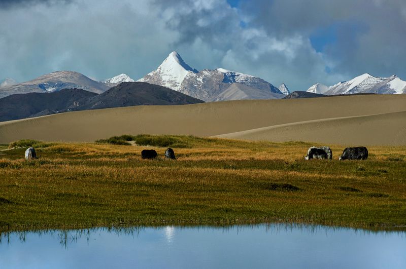 landscapes Красивые пейзажи по дороге-Тибетphoto preview