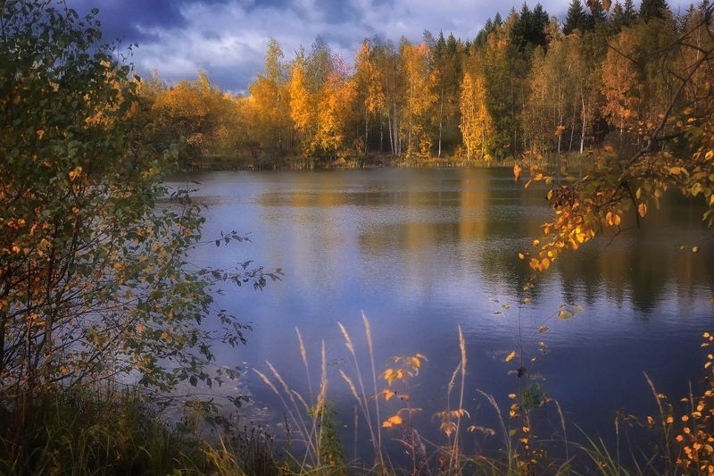 Осеньphoto preview