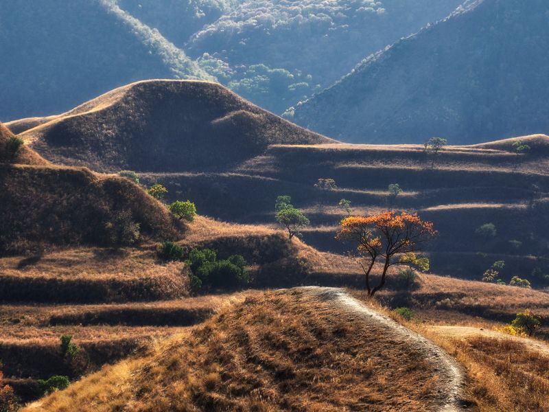 кавказ, дагестан, террасы Горные террасы Дагестанаphoto preview