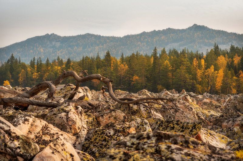 река, камни, пейзаж, природа, осень, горы, скалы, таганай, урал На каменной рекеphoto preview