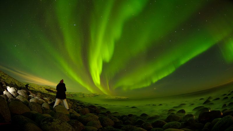 #кольский #териберка# Перьяphoto preview