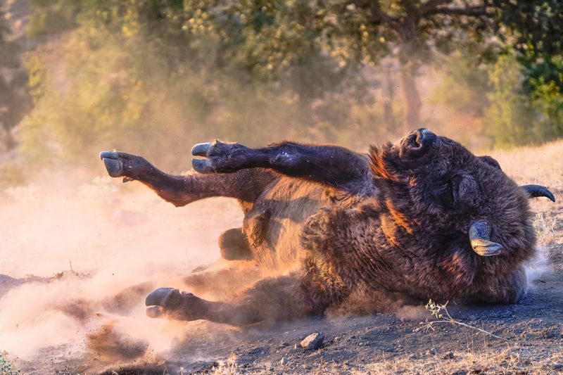 Sunset dust bathphoto preview