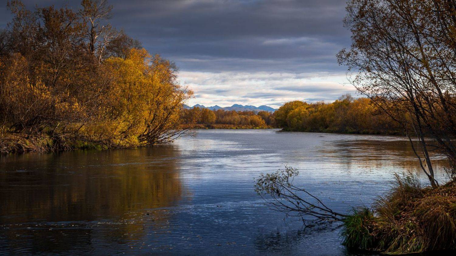 Автор: Евгений Житников река камчатка камчатский край верхняя камчатка осень, Евгений Житников