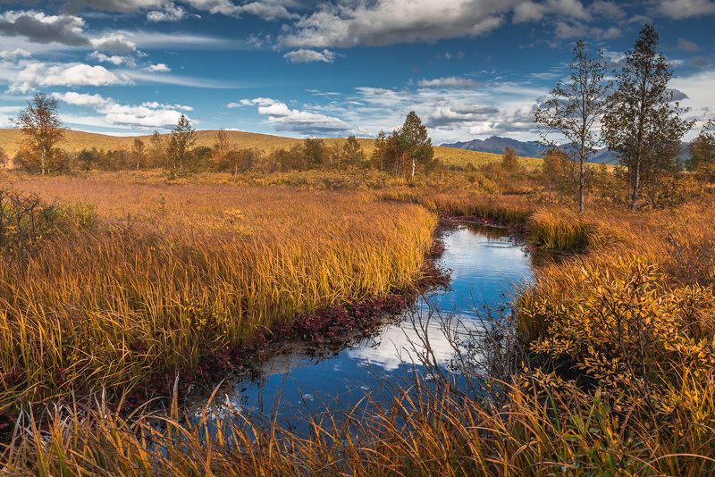 камчатский край  ганальская тундра  осень ...photo preview