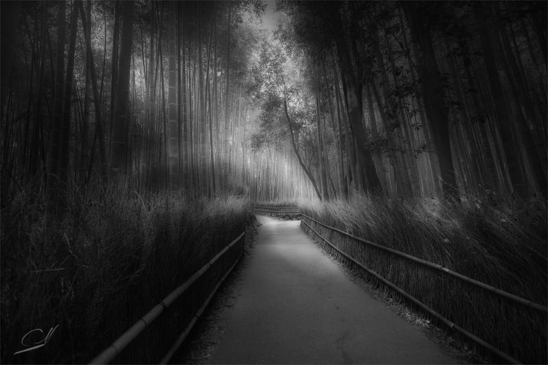 j a p a n *photo preview