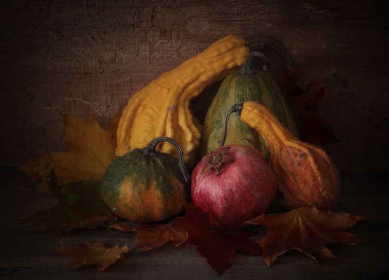 усталые листьяphoto preview