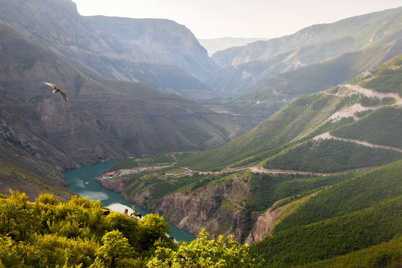 Рассвет над Сулакским каньономphoto preview