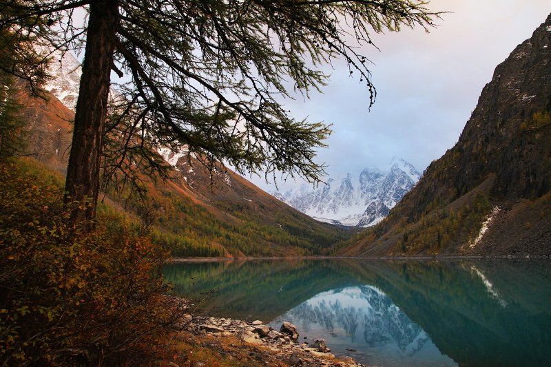 озеро, алтай, вода, горы Отражение красавицы фото превью