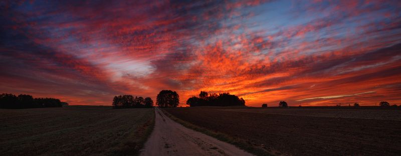 Как заря горела.photo preview