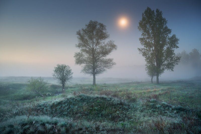 ночь, утро, луна, луг, Солоницевка, туман, сумерки Лунные Сумеркиphoto preview