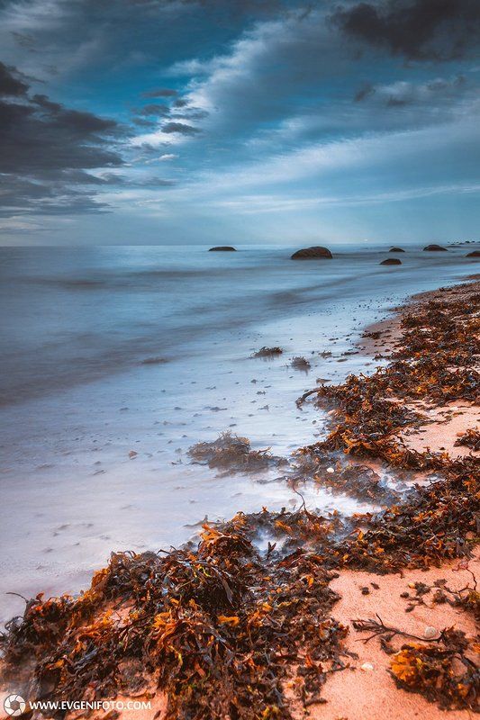 пейзаж,осень,природа,landscape,nature,autumn Осенние водорослиphoto preview