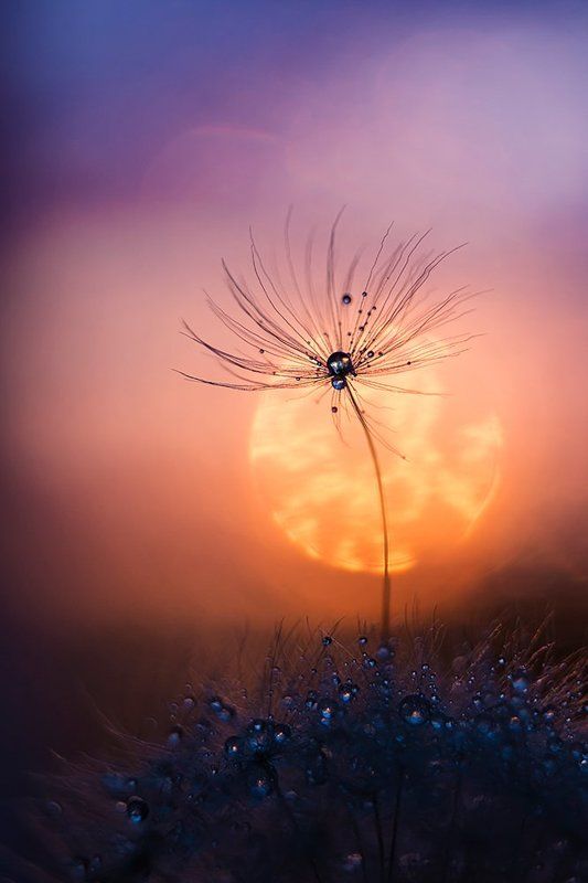 Alina Dotsenko, Ukraine