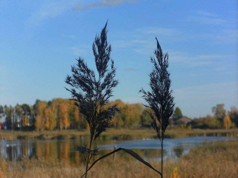 Ольга, Russia