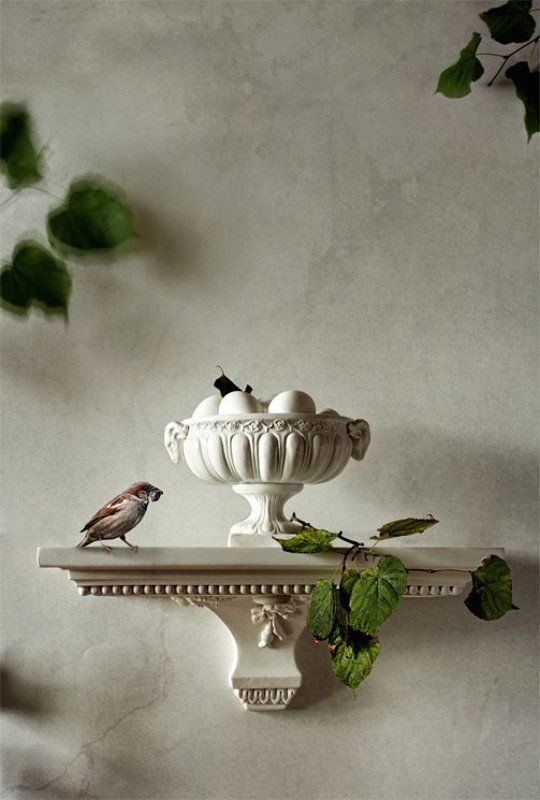 Ваза, воробей и божьи коровкиphoto preview