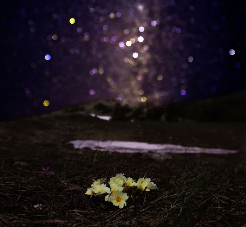 Astrophotography, Forgotten, Milky way, Night landscape, Night sky, Stars, Астрофотография, Забытый, Звезды, Млечный путь, Ночное небо, Ночной пейзаж Крымская весна.photo preview