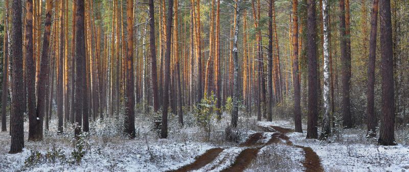 Утро после первого снегаphoto preview