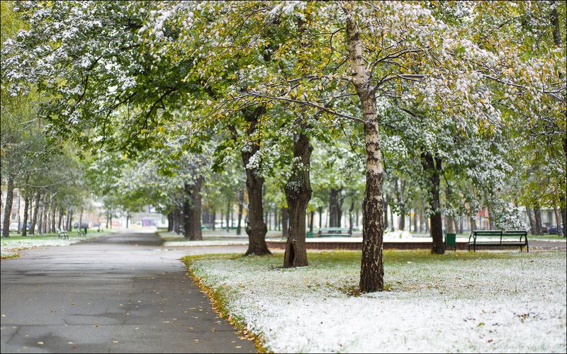 Город, Москва, Осень, Первый, Проспект, Россия, Снег, Университетский Россия. Москва. Первый снег на Университетском проспекте.photo preview