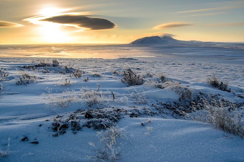 Северные контрастыphoto preview