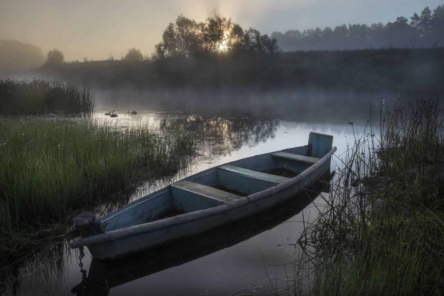 Утро на Угре. Автор: Денис Щербак рассвет, река, угра, туман, утро, лето, природа, россия,, Денис Щербак