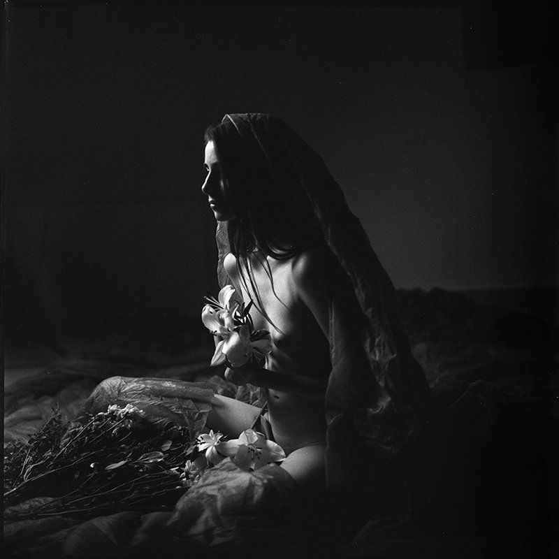 film 6x6 HP5 Presence photo preview