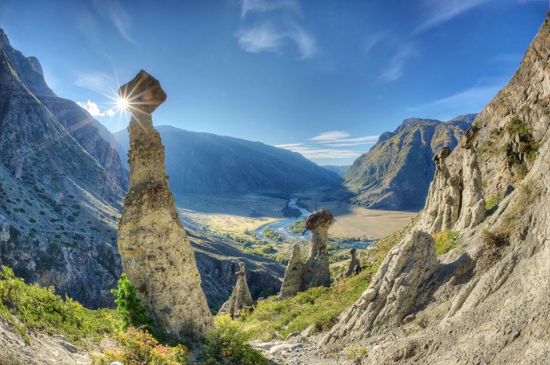 Грибыphoto preview