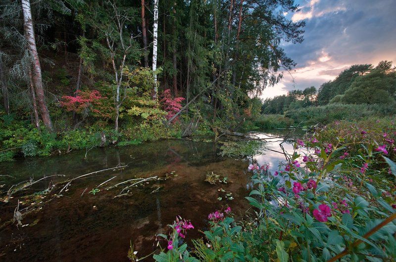 пейзажи московской области, фотоальбом \\ Pro Москворецко-Окскую провинцию Московской областиphoto preview