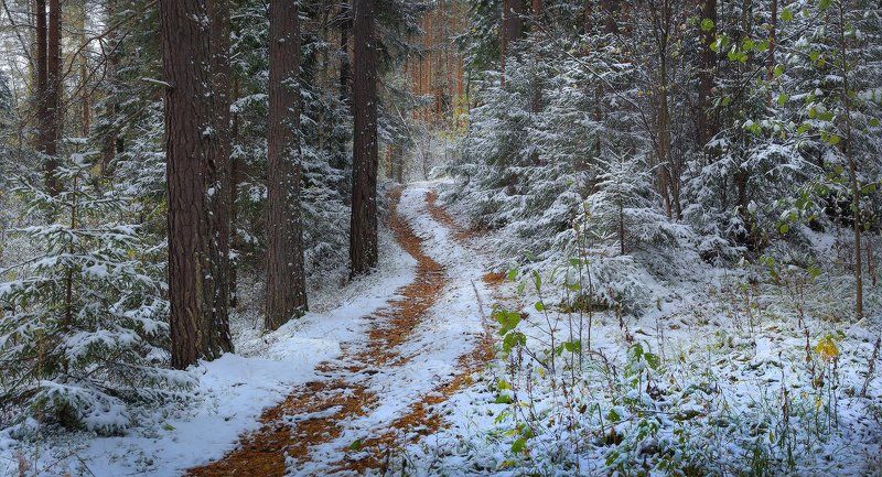 Преображениеphoto preview