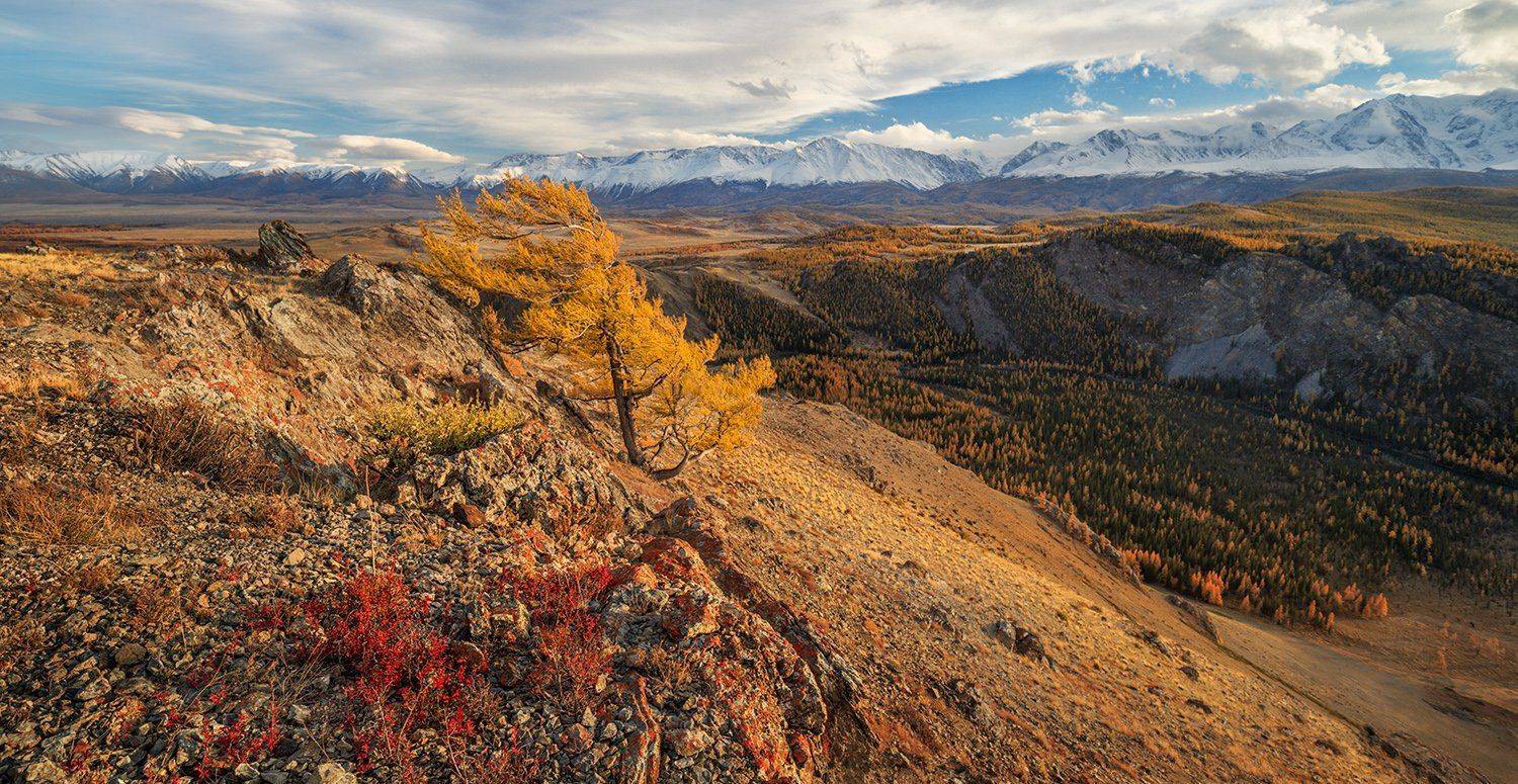 , izhDiletant (Валерий Щербина)
