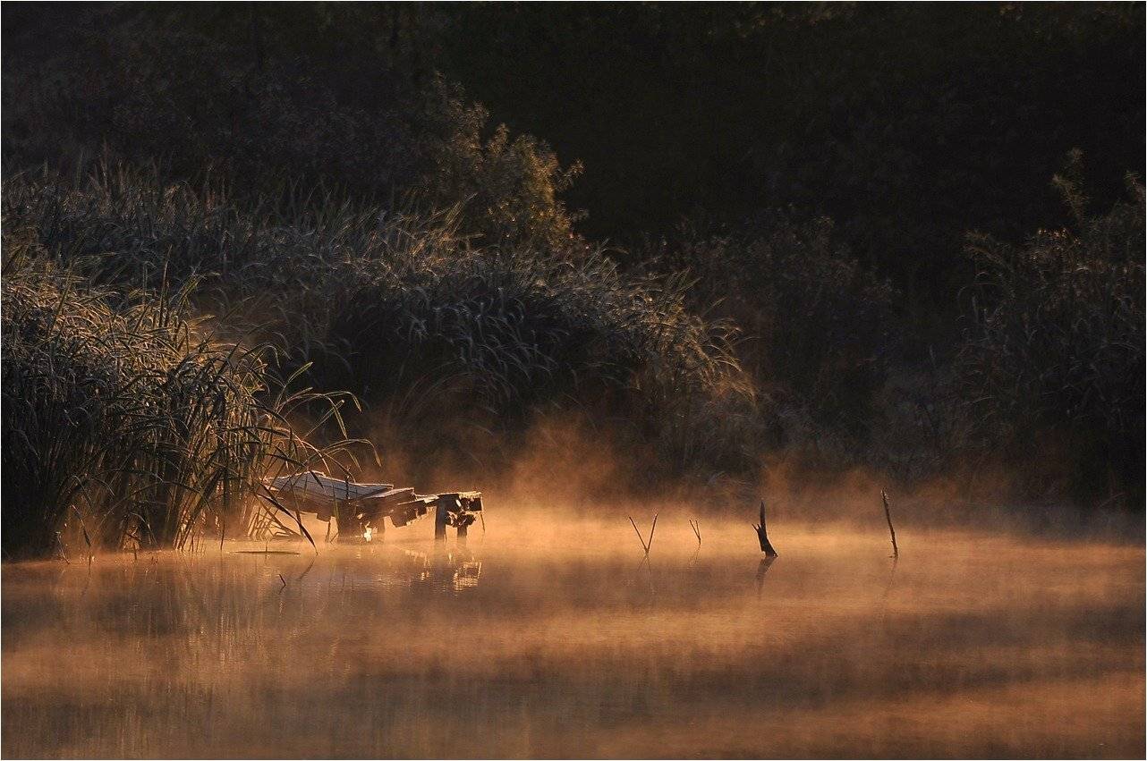 , Володимир Карчевський