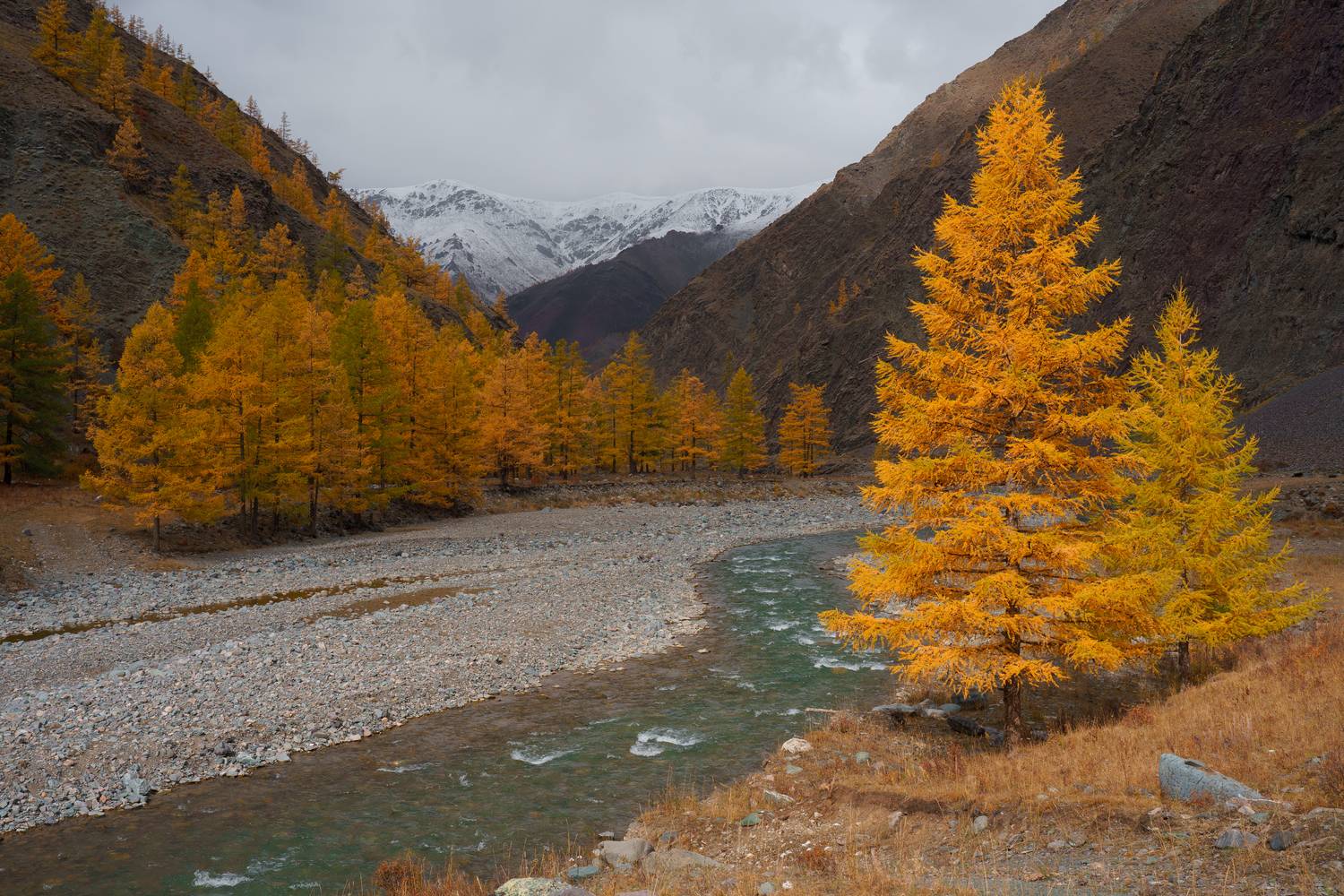 , Александр Нерозя
