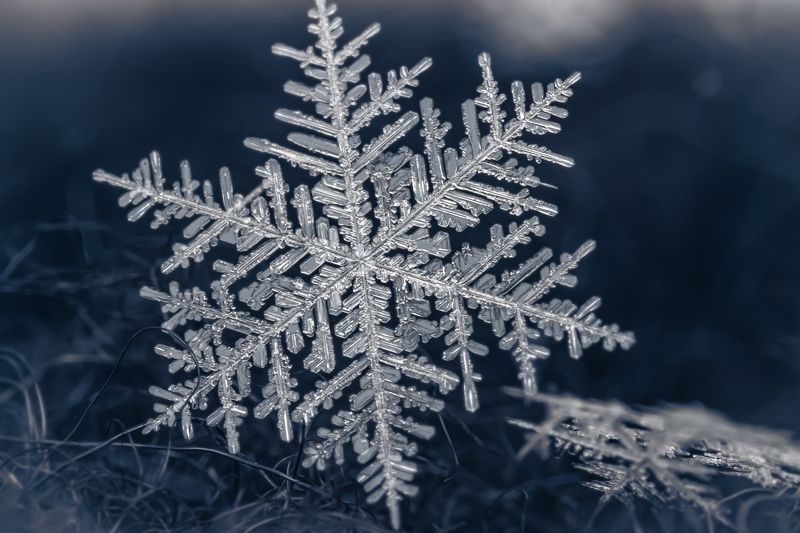 снежинка, макро *photo preview