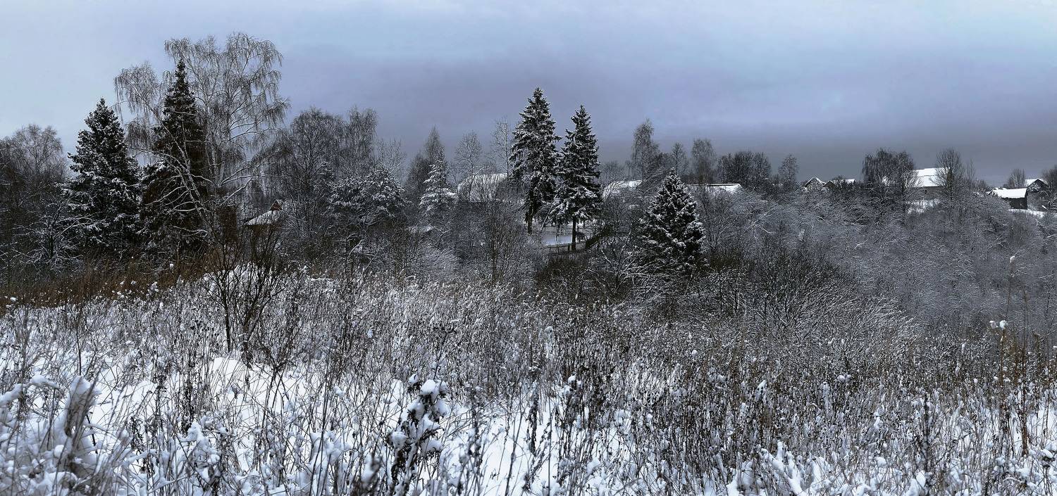 Зимний монохром.. Автор: sasha yudin зима,покров., sasha yudin