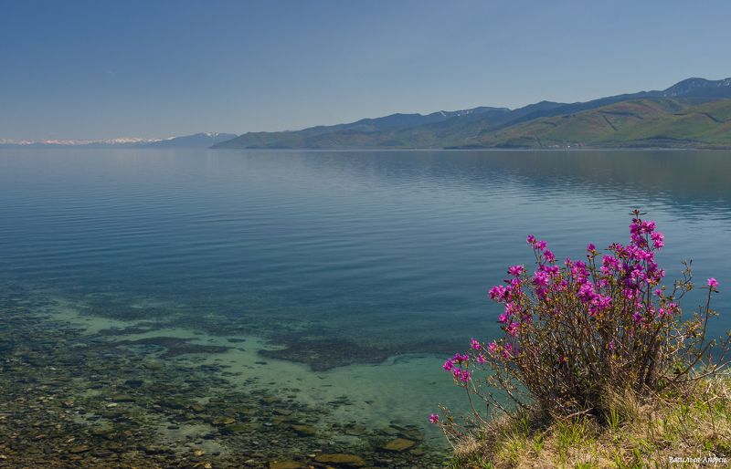 байкал, природа, весна Байкалphoto preview