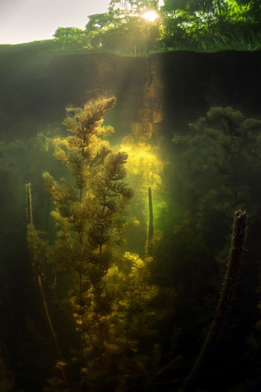 На закате.photo preview