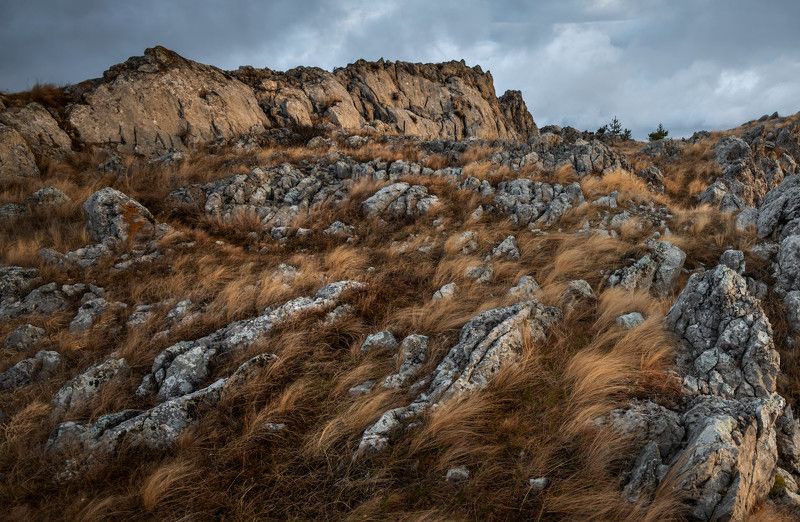 Приближение.photo preview