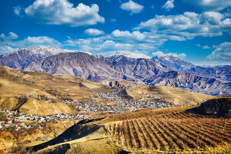 Осень… Чорбог. Душанбе. Таджикистанphoto preview