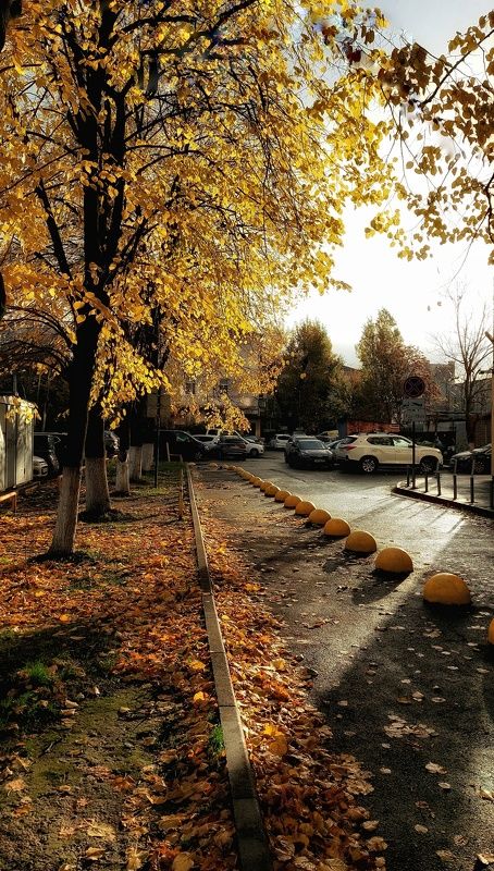 После дождяphoto preview