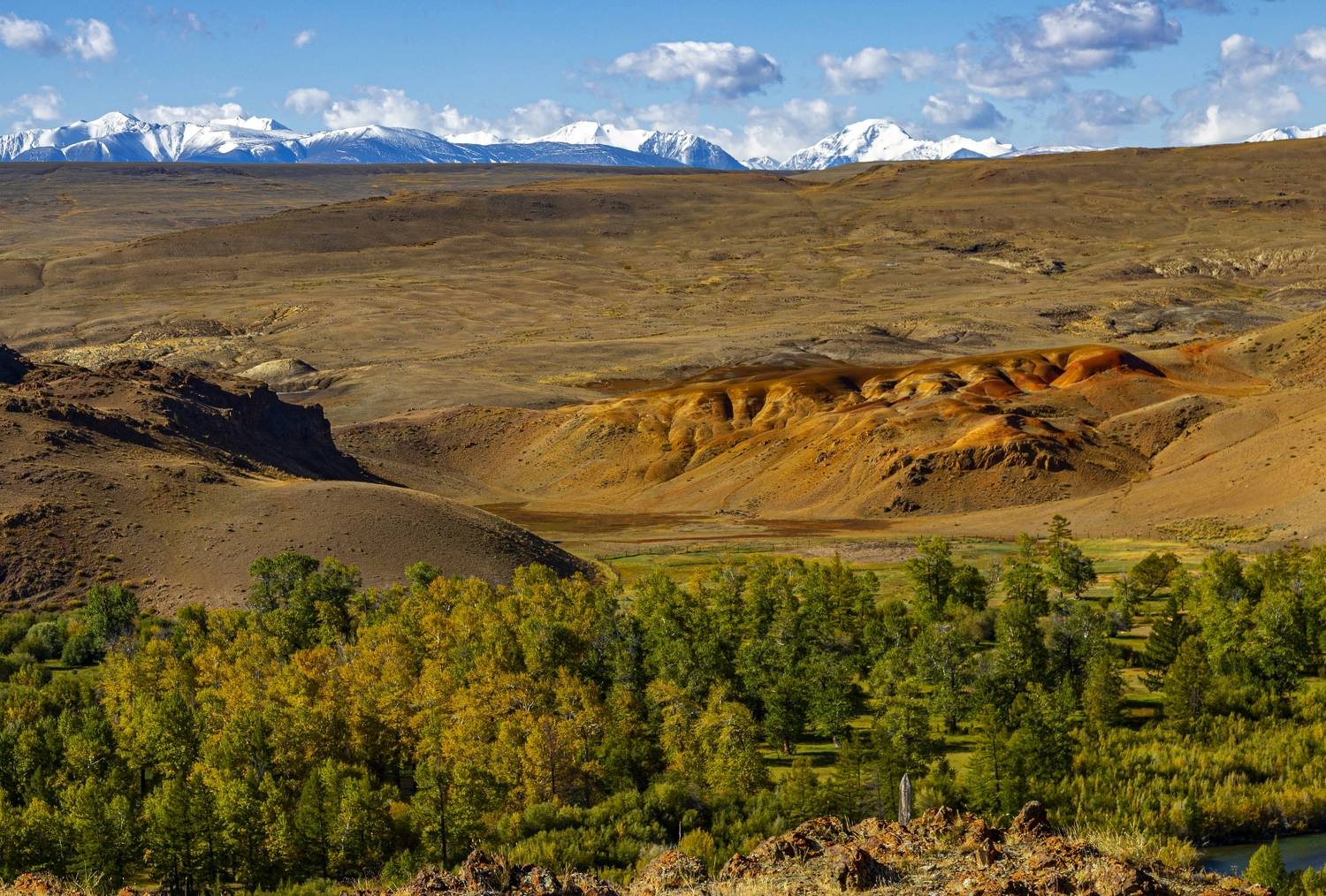 , Каверин Владимир
