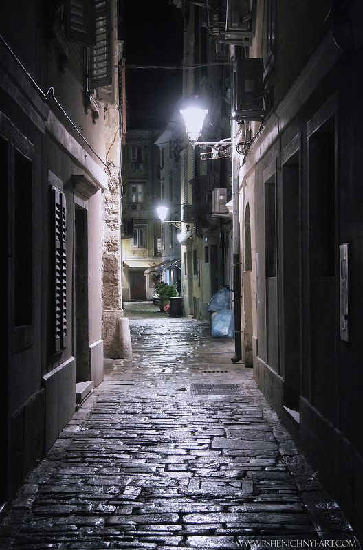 европа, архитектура, городской, улица, дождь, ночь, свет, пиран, словения, старинный Ночной дождь в Пиранеphoto preview